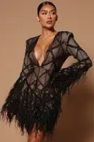 Amber Deep V Embellished Feather Trim Mini Dress