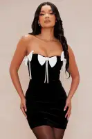 Veronica Velvet Mini Dress