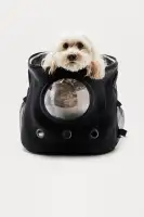 Pup Cup Backback
