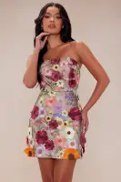 Skyler Embroidered Fit And Flare Mini Dress
