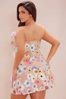 Dahlia Embroidered Mini Dress(Multi Color,XS)