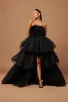 Livia Feather Tulle Gown